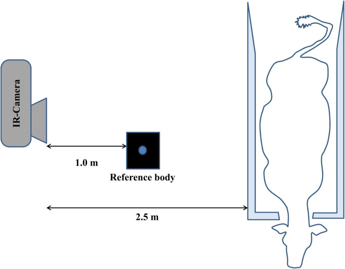 Postoperative wound assessment in cattle: How reliable is the back hand palpation?