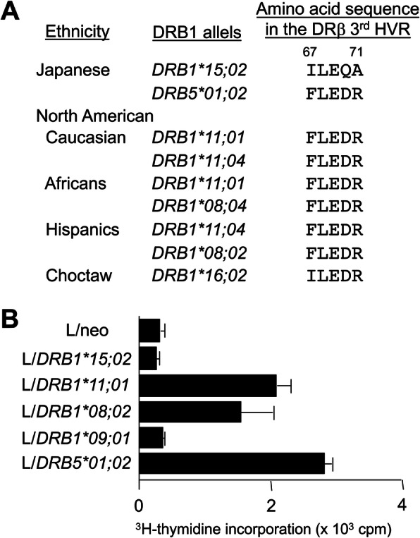 Updates on genetics in systemic sclerosis.