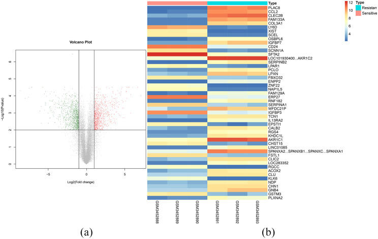 Identification of Key Genes and Pathways in Gefitinib-Resistant Lung Adenocarcinoma using Bioinformatics Analysis.