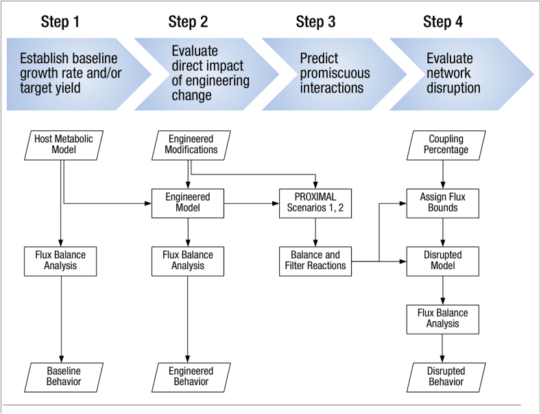 Analysis of metabolic network disruption in engineered microbial hosts due to enzyme promiscuity