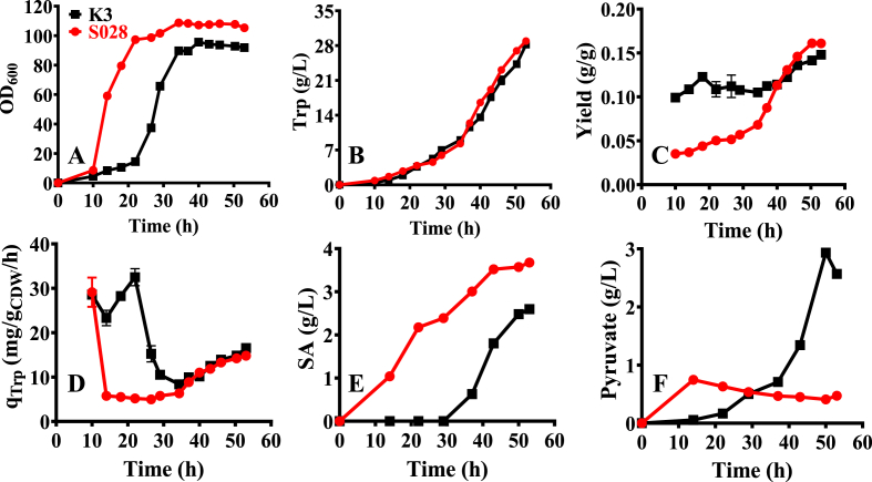 Integrated laboratory evolution and rational engineering of GalP/Glk-dependent Escherichia coli for higher yield and productivity of L-tryptophan biosynthesis