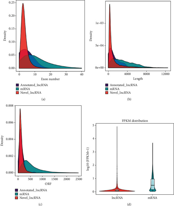 Analysis of lncRNA, miRNA, and mRNA Expression Profiling in Type I IFN and Type II IFN Overexpressed in Porcine Alveolar Macrophages.