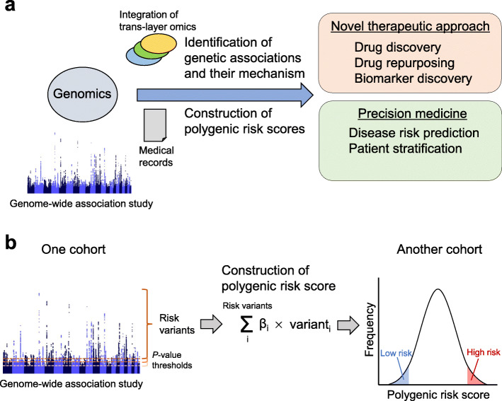 Statistical genetics and polygenic risk score for precision medicine.