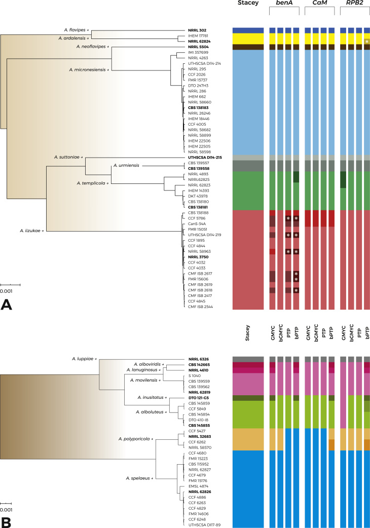 Re-examination of species limits in Aspergillus section Flavipedes using advanced species delimitation methods and description of four new species