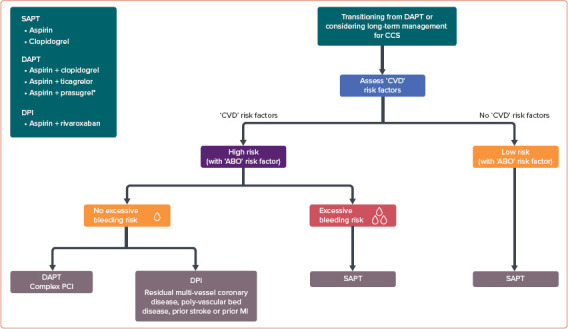 2020 Asian Pacific Society of Cardiology Consensus Recommendations on Antithrombotic Management for High-risk Chronic Coronary Syndrome.