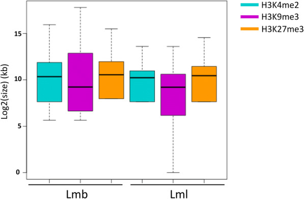 Genome-wide mapping of histone modifications during axenic growth in two species of Leptosphaeria maculans showing contrasting genomic organization.