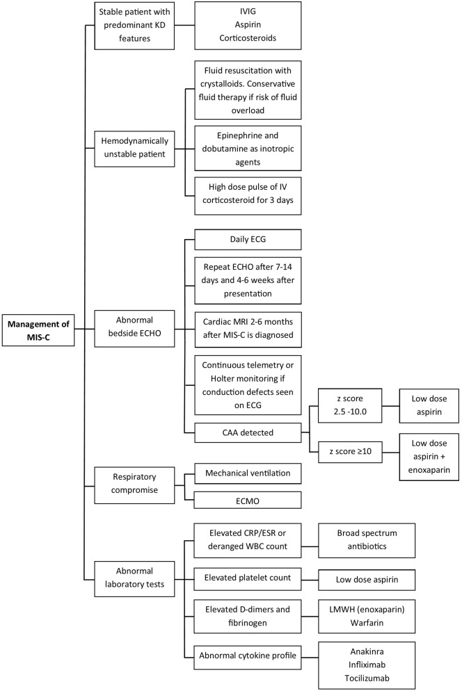 Multisystem Inflammatory Syndrome in Children and Adolescents (MIS-C) under the Setting of COVID-19: A Review of Clinical Presentation, Workup and Management.