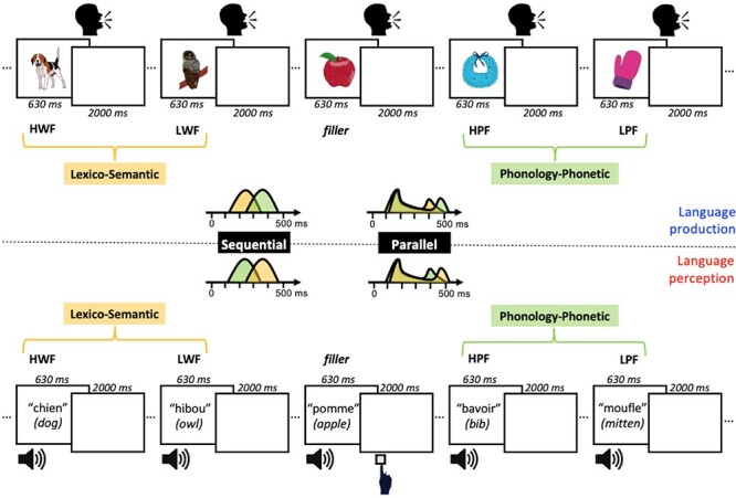 The Same Ultra-Rapid Parallel Brain Dynamics Underpin the Production and Perception of Speech.