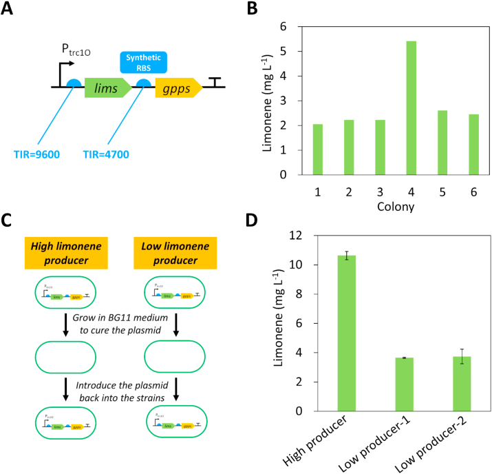 Enhanced limonene production in a fast-growing cyanobacterium through combinatorial metabolic engineering