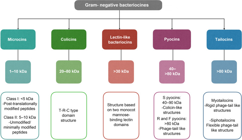 Emerging Applications of Bacteriocins as Antimicrobials, Anticancer Drugs, and Modulators of The Gastrointestinal Microbiota.