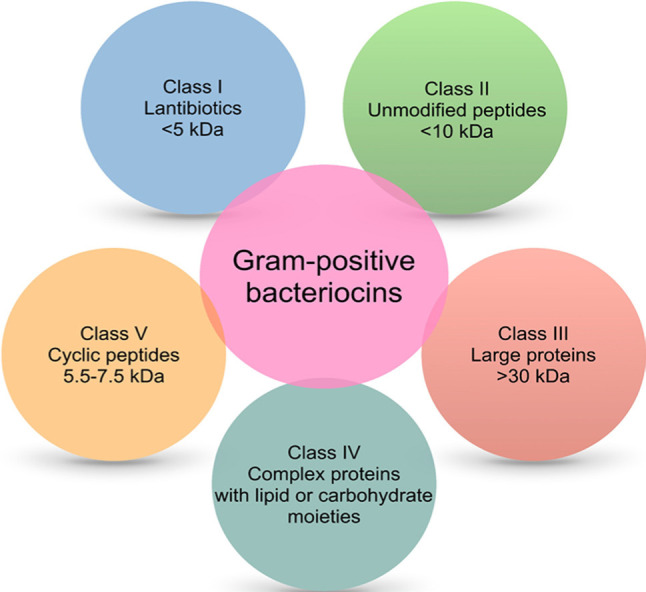 Emerging Applications of Bacteriocins as Antimicrobials, Anticancer Drugs, and Modulators of The Gastrointestinal Microbiota.