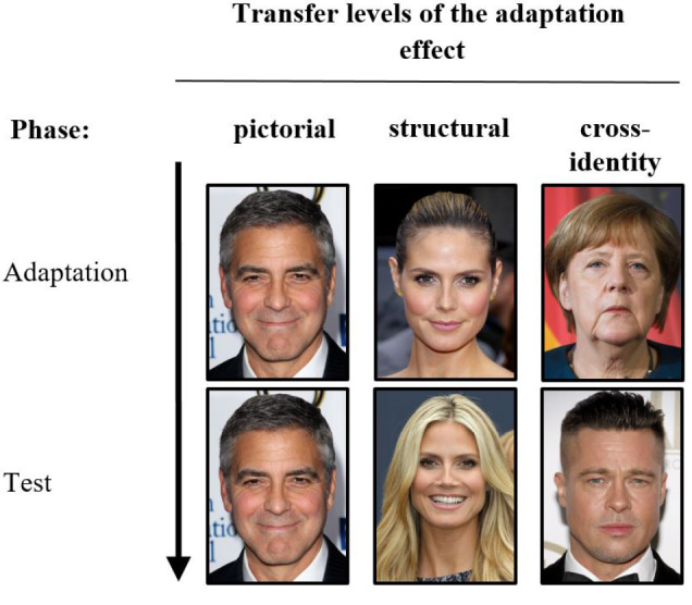 Face Adaptation Effects on Non-Configural Face Information.