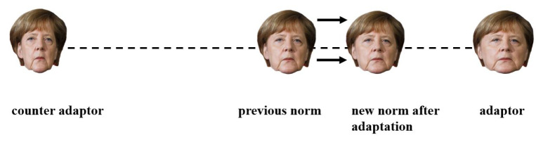 Face Adaptation Effects on Non-Configural Face Information.