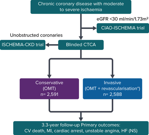 The ISCHEMIA Trial: What is the Message for the Interventionalist?