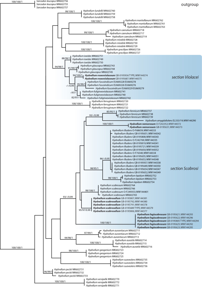 Four new species of <i>Hydnellum</i> (<i>Thelephorales</i>, <i>Basidiomycota</i>) with a note on <i>Sarcodon illudens</i>.