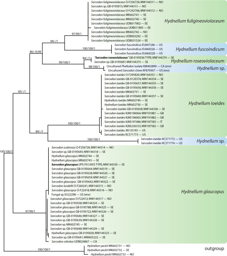 Four new species of <i>Hydnellum</i> (<i>Thelephorales</i>, <i>Basidiomycota</i>) with a note on <i>Sarcodon illudens</i>.