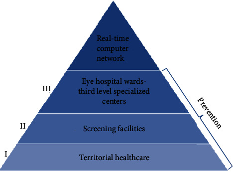 Teleophthalmology Service: Organization, Management, Actual Current Applications, and Future Prospects.