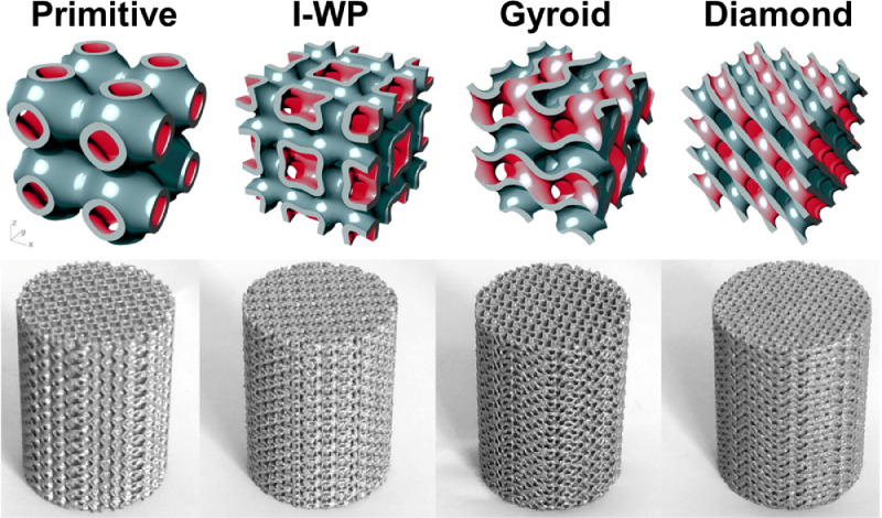 Current interpretations on the in vivo response of bone to additively manufactured metallic porous scaffolds: A review