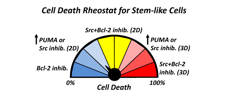 A precision approach to breast cancer treatment based on cell lineage-specific vulnerabilities.