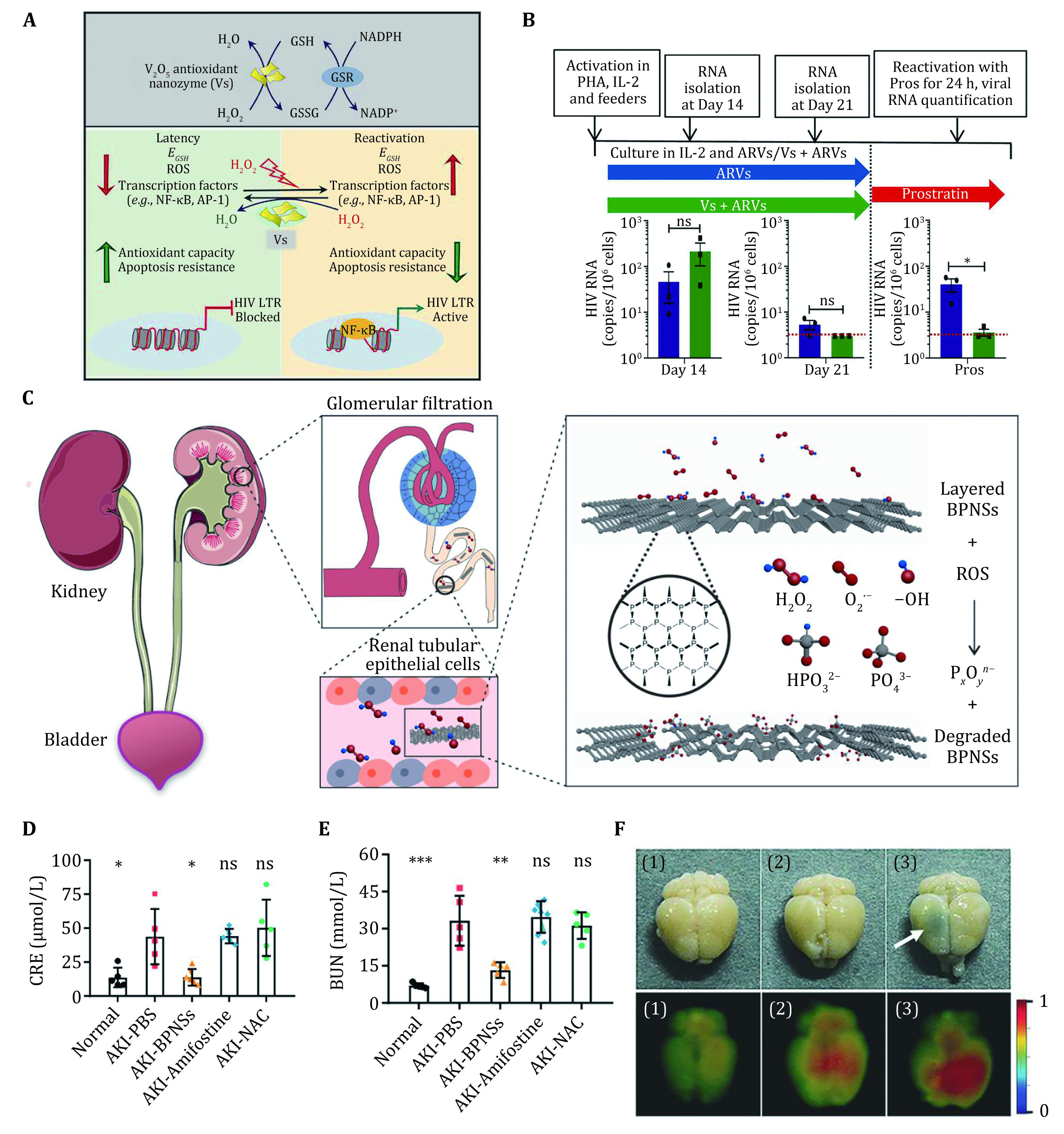 Emerging two-dimensional material nanozymes for theranostic nanomedicine.