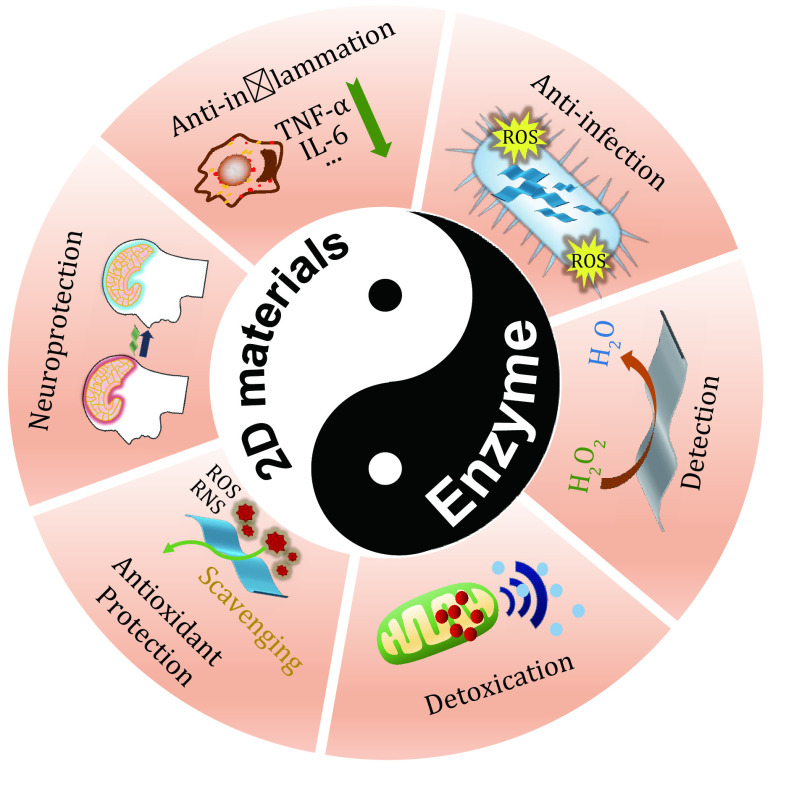 Emerging two-dimensional material nanozymes for theranostic nanomedicine.