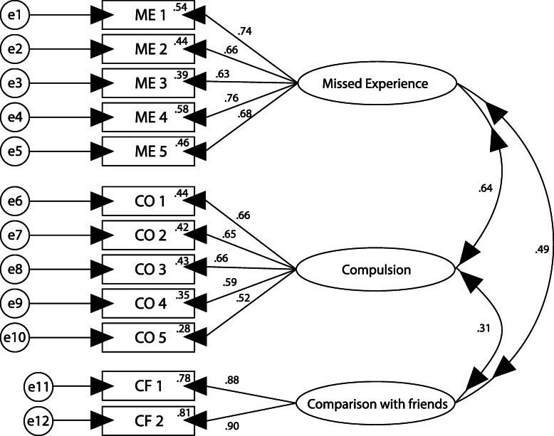 Validation and psychometric properties of the Indonesian version of the Fear of Missing Out Scale in adolescents.