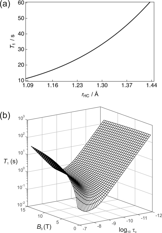 Extended Bloch-McConnell equations for mechanistic analysis of hyperpolarized <sup>13</sup>C magnetic resonance experiments on enzyme systems.