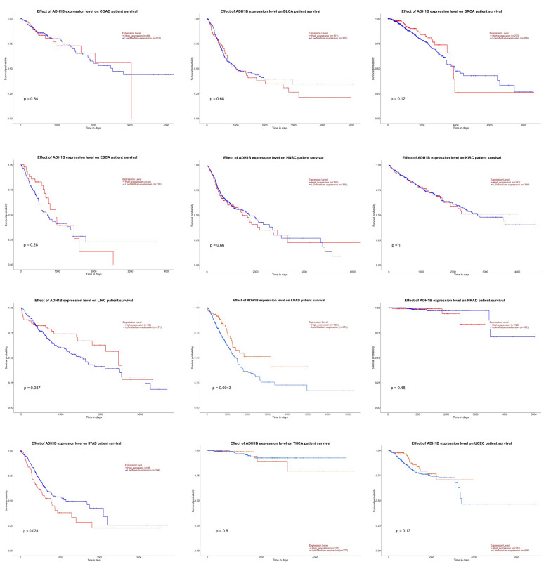 Pairwise correlation of genes involved in glucose metabolism: a potential diagnostic marker of cancer?