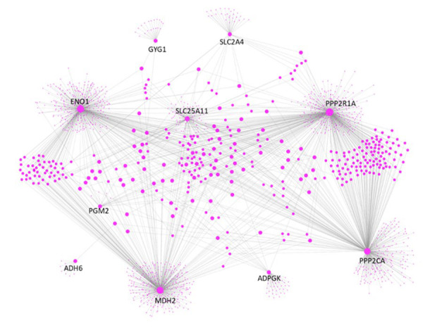 Pairwise correlation of genes involved in glucose metabolism: a potential diagnostic marker of cancer?