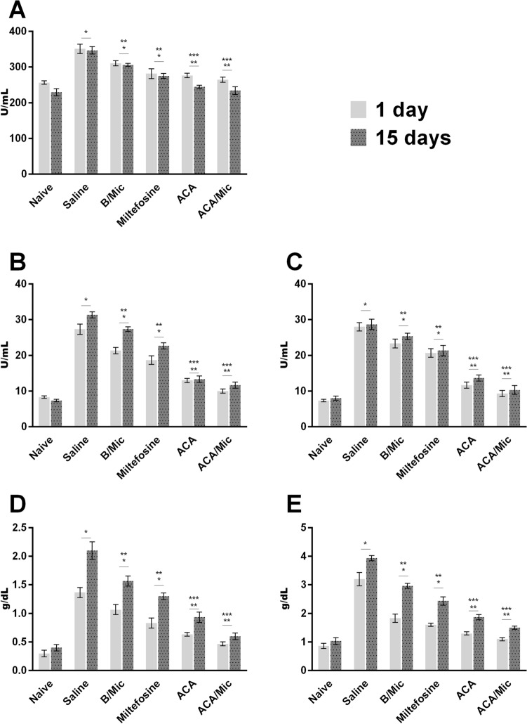 Acarbose presents in vitro and in vivo antileishmanial activity against Leishmania infantum and is a promising therapeutic candidate against visceral leishmaniasis.