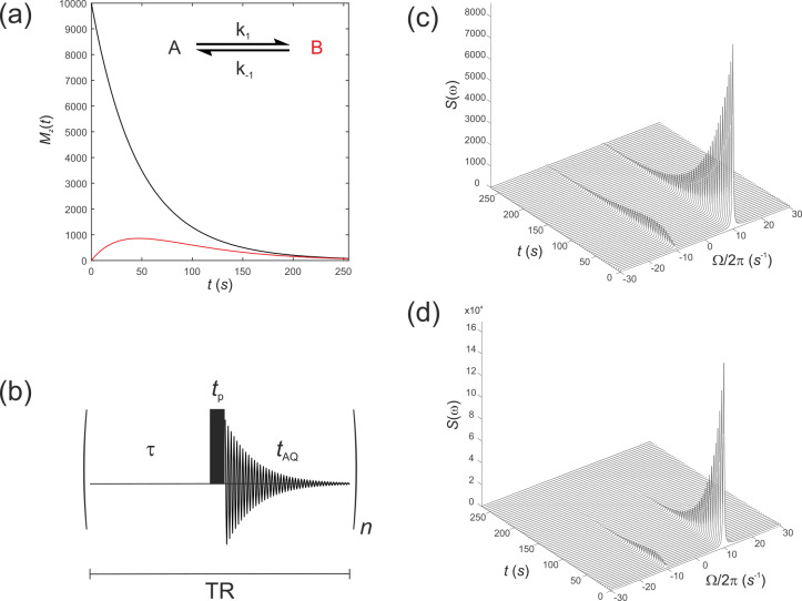Extended Bloch-McConnell equations for mechanistic analysis of hyperpolarized <sup>13</sup>C magnetic resonance experiments on enzyme systems.