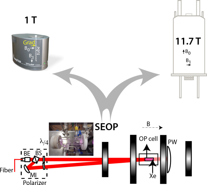 <sup>129</sup>Xe ultra-fast Z spectroscopy enables micromolar detection of biosensors on a 1 T benchtop spectrometer.