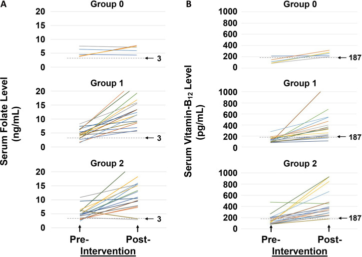 Potential for elimination of folate and vitamin B<sub>12</sub> deficiency in India using vitamin-fortified tea: a preliminary study.