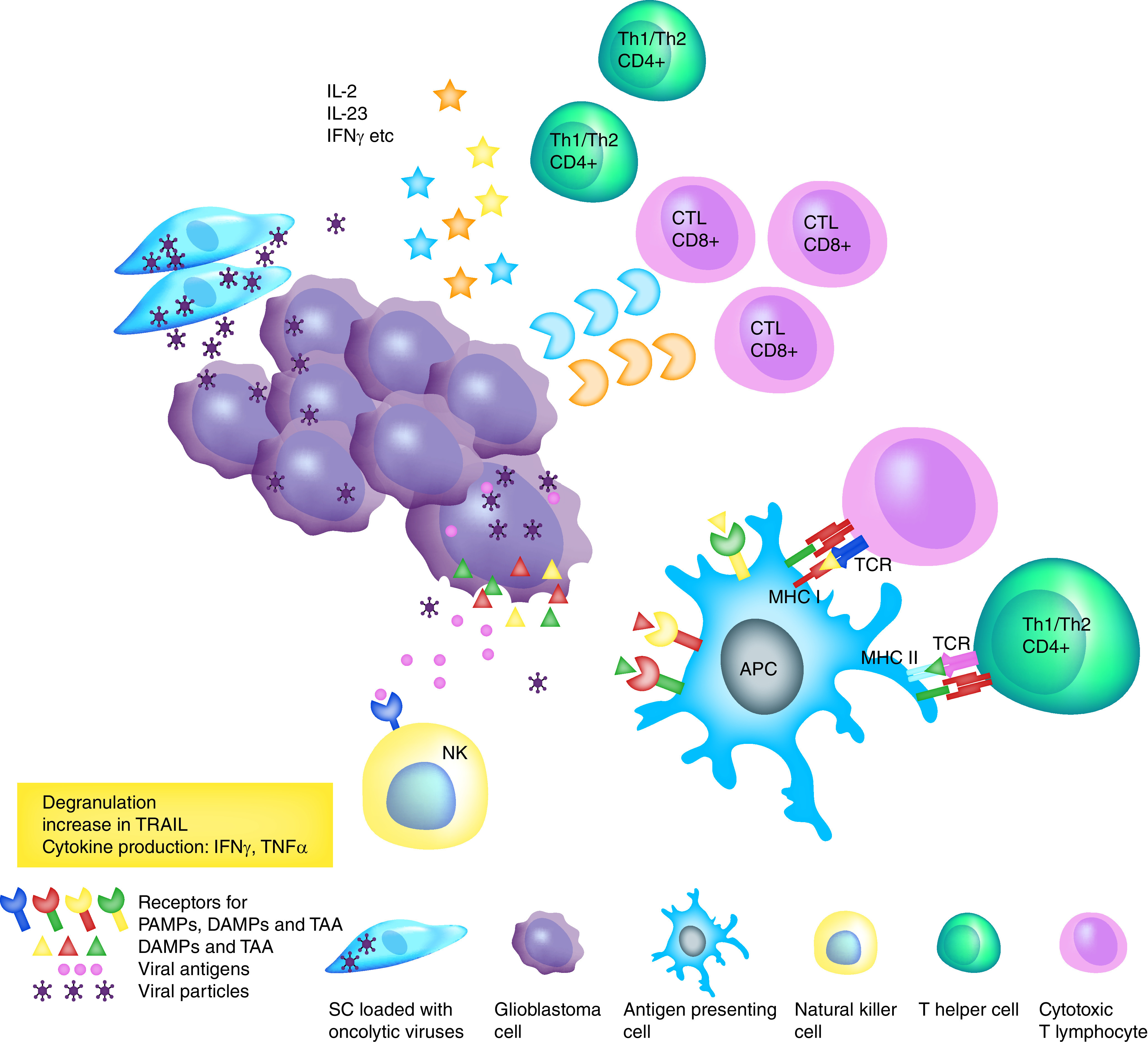 Stem cells for the treatment of glioblastoma: a 20-year perspective.