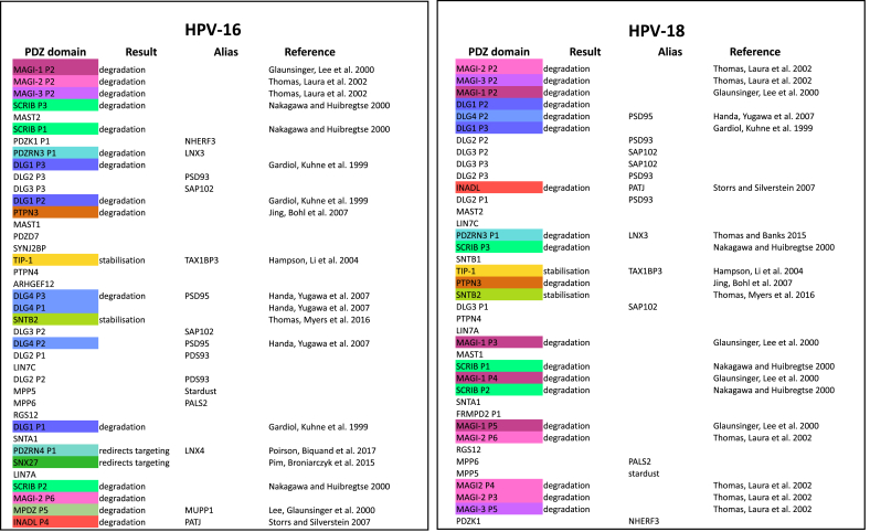 Human papillomavirus E6 and E7: What remains?