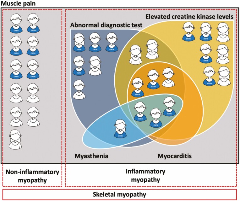 Association between incidental statin use and skeletal myopathies in patients treated with immune checkpoint inhibitors.