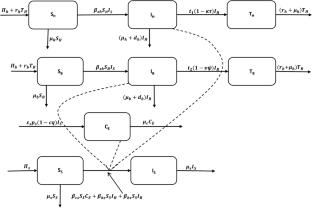 A Human-Bovine Schistosomiasis Mathematical Model with Treatment and Mollusciciding