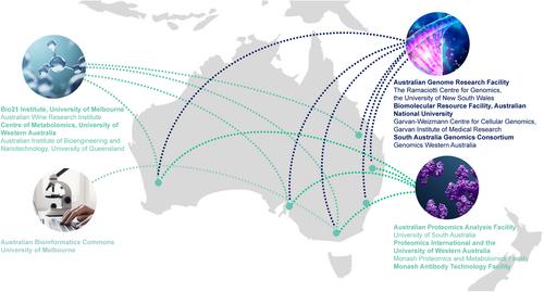 Building capacity for the engineering of biology in Australia