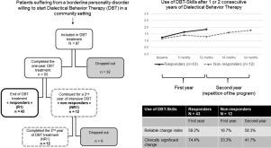 Compliant patients with borderline personality disorder non-responsive to one-year dialectical behavior therapy: Outcomes of a second year