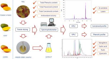 Characterization and quantification of bioactive compounds and antioxidant activity in three different varieties of mango (Mangifera indica L.) peel from the Ecuadorian region using HPLC-UV/VIS and UPLC-PDA