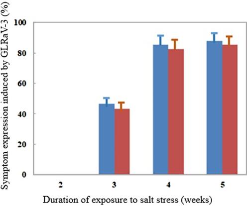 In vitro biological indexing of grapevine leafroll-associated virus 3 in red- and white-berried grapevines (Vitis vinifera)