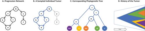 Oncogenetic network estimation with disjunctive Bayesian networks