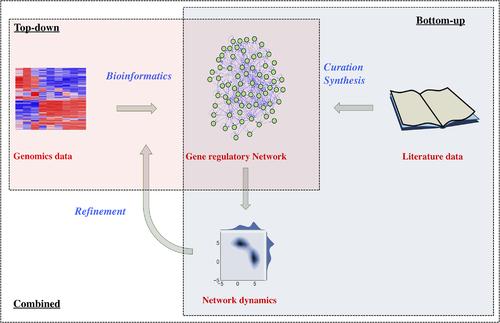 Computational systems-biology approaches for modeling gene networks driving epithelial–mesenchymal transitions