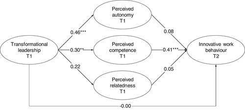 The role of basic psychological needs satisfaction in the relationship between transformational leadership and innovative work behavior