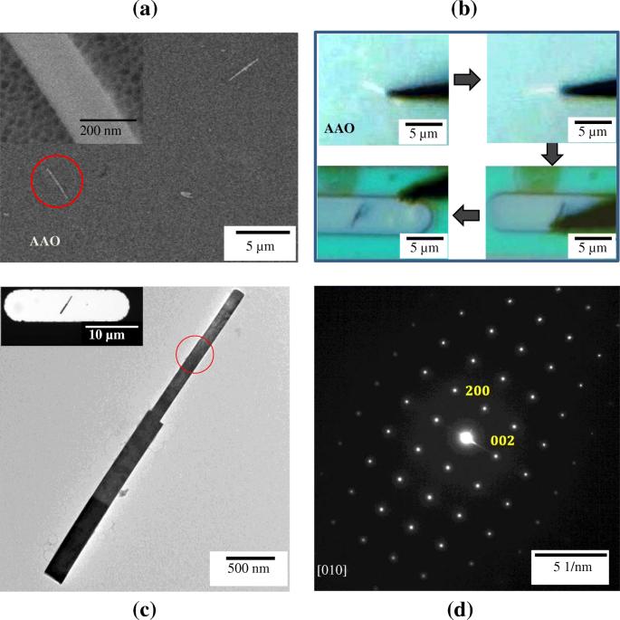 TEM sample preparation using micro-manipulator for in-situ MEMS experiment