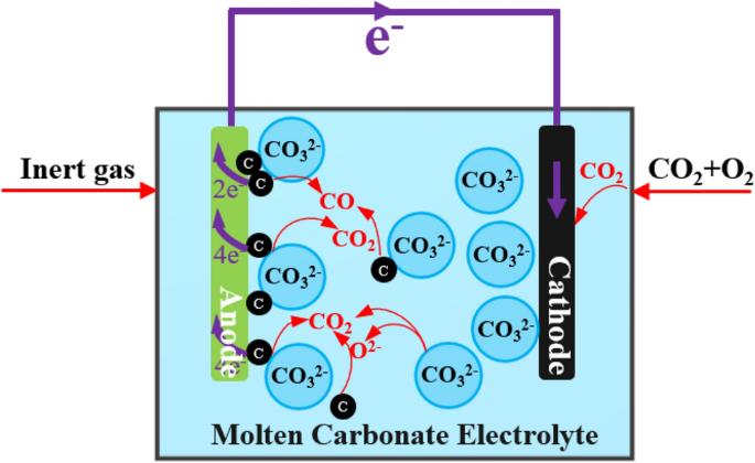 Review of molten carbonate-based direct carbon fuel cells