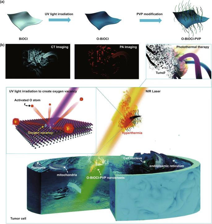 Differences and Similarities of Photocatalysis and Electrocatalysis in Two-Dimensional Nanomaterials: Strategies, Traps, Applications and Challenges