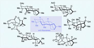 Recent advances in the synthesis of ent-kaurane diterpenoids