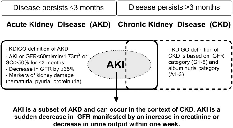 Malaria-Associated Acute Kidney Injury in African Children: Prevalence, Pathophysiology, Impact, and Management Challenges.