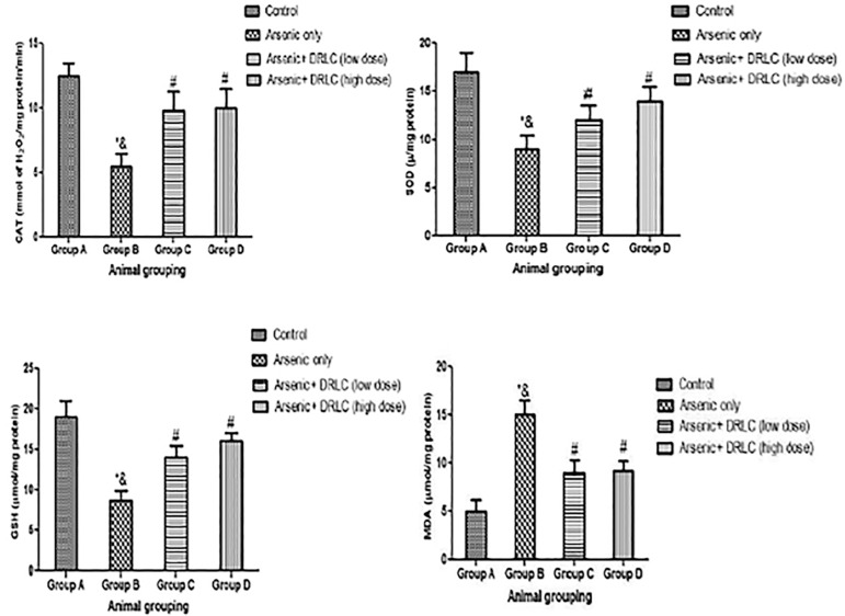 Potentiating response of D- Ribose-L-Cysteine on Sodium arsenate- induced hormonal imbalance, spermatogenesis impairments and histomorphometric alterations in adult male Wistar rat.